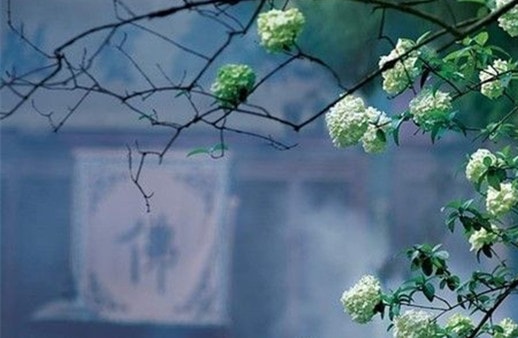 SEO優化崗位要求_SEO優化-常見問題-四川成都小程序及網站建設與設計制作_微信公眾號開發_專業網絡seo優化推廣營銷公司